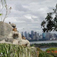 Foto de Sydney
