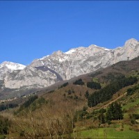 Foto de Santo Toribio de Liebana
