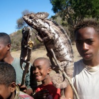 Foto de Andranovory