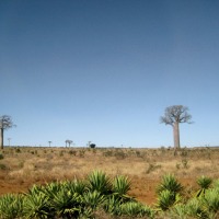 Foto de Ranomaintso