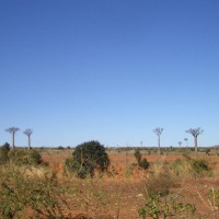 Foto de Sakaraha
