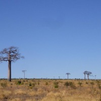 Foto de Andranovory