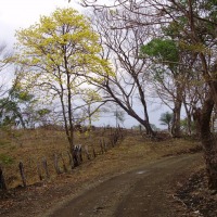 Foto de Guanacaste