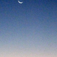 Foto de Ifaty