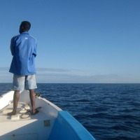 Foto de Ifaty