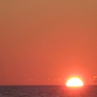 Foto de Ifaty