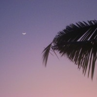 Foto de Ifaty
