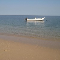 Foto de Ifaty