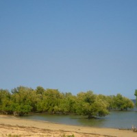 Foto de Ifaty