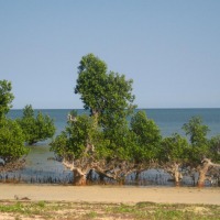 Foto de Ifaty