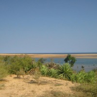Foto de Ifaty