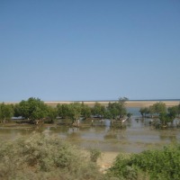 Foto de Ifaty