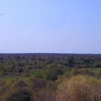 Foto de Ifaty