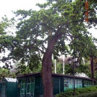 Foto de Oviedo