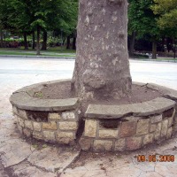 Foto de Oviedo
