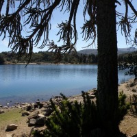Foto de Villa Pehuenia (Neuquén)