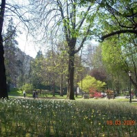 Foto de Oviedo