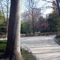 Foto de Oviedo