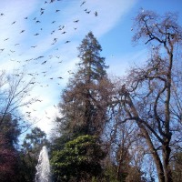 Foto de Oviedo
