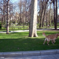 Foto de Oviedo