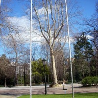 Foto de Oviedo