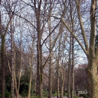 Foto de Oviedo