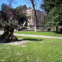 Foto de Oviedo