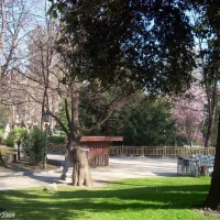 Foto de Oviedo
