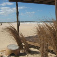 Foto de Punta del Este