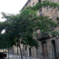 Foto de Manresa