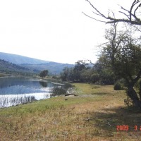 Foto de Aluminé (Neuquén)
