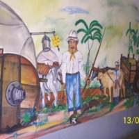 Foto de Alajuela