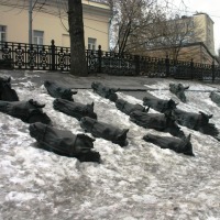 Foto de Moscu