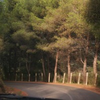 Foto de Guadales