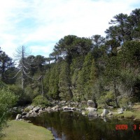 Foto de Aluminé (Neuquén)