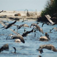 Foto de Tela Atlantida