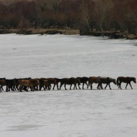 Foto de Ulan Bator