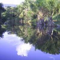 Foto de Tarapoto