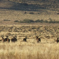 Foto de Aluminé (Neuquén)