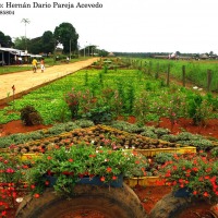 Foto de Miraflores (Guaviare)