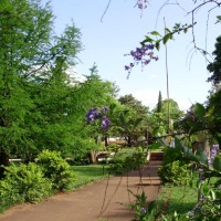 Foto de Cerro Azul (Misiones)