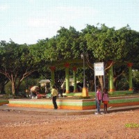 Foto de Los Guaraguao
