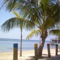 Foto de Roatan (Islas de la Bahia)