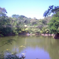 Foto de Roatan (Islas de la Bahia)