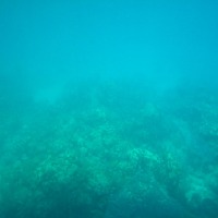 Foto de Roatan (Islas de la Bahia)