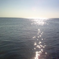 Foto de Roatan (Islas de la Bahia)