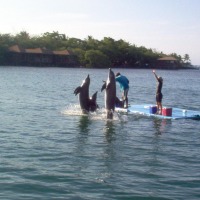 Foto de Roatan (Islas de la Bahia)