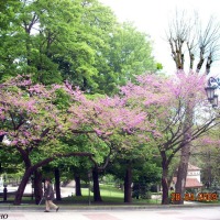 Foto de Oviedo
