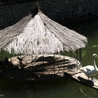 Foto de San Ildefonso
