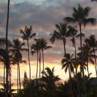 Foto de Punta Cana